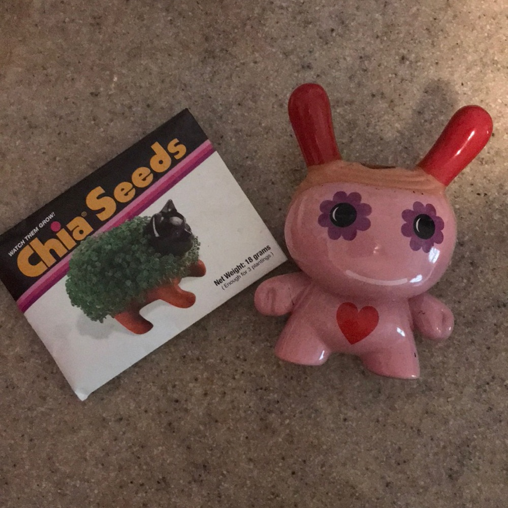 Chia pet with seeds